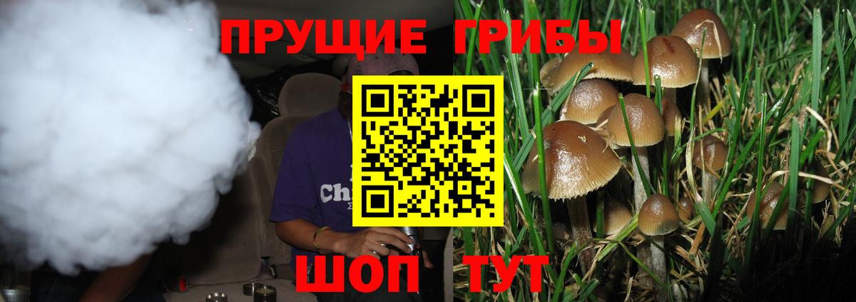 Галлюциногенные грибы Cubensis  Галлюциногенные грибы MAGIC MUSHROOMS  Вход с VPN  Сунжа 