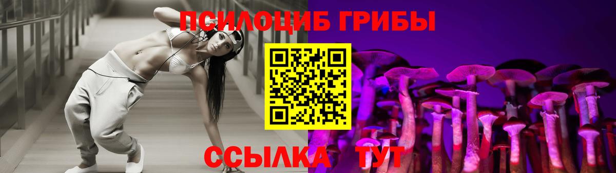 Псилоцибиновые грибы прущие грибы Сунжа