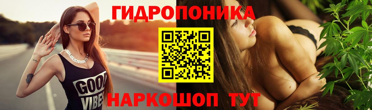 МАРИХУАНА гибрид Сунжа